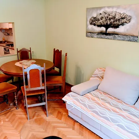 ホテル Center Apartment's 3*